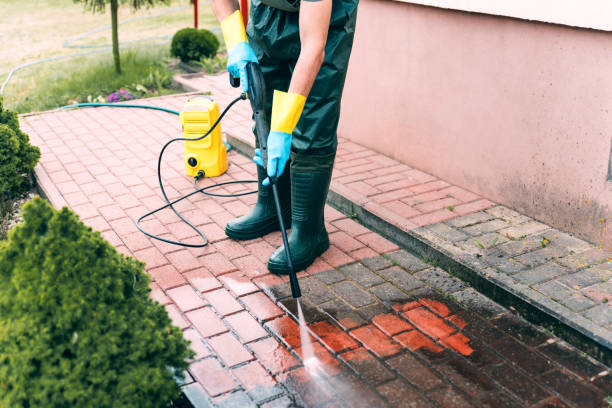 Best Soft Washing for Delicate Surfaces in White City, OR